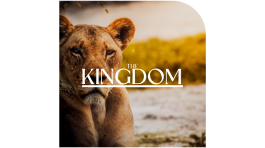 Untitled (1733 × 1208 px) (13)