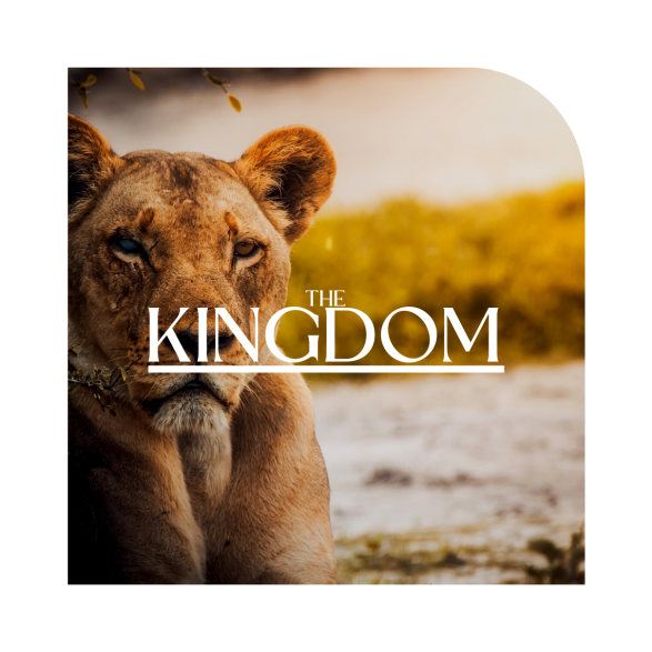 Untitled (1733 × 1208 px) (13)